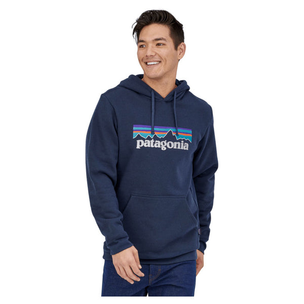 Patagonia p6 pullover 2025