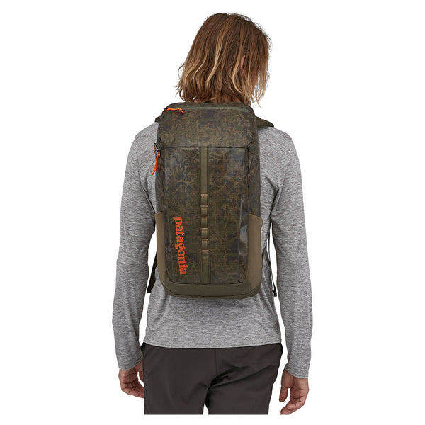 Patagonia Black Hole Pack 25L Lichen Basin Green