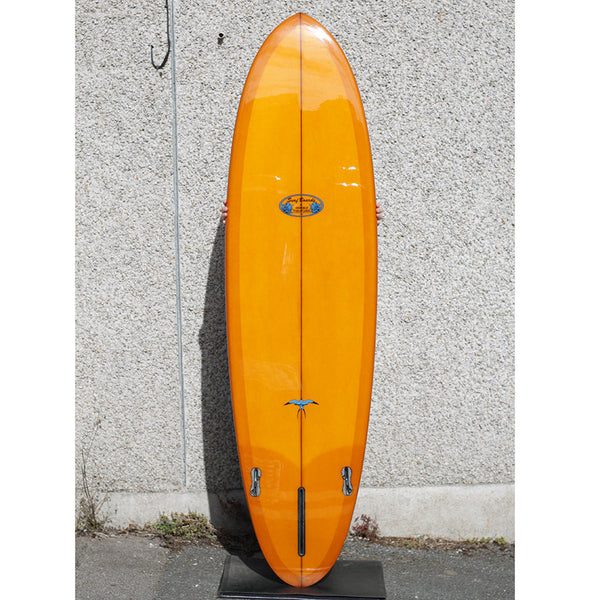 Donald Takayama Howard Special Mini 6'10