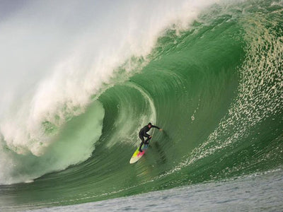 Warriors of Winter 23-24 Winner Announced!