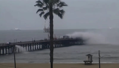 Video | Surfline’s Surf Cam Rewind